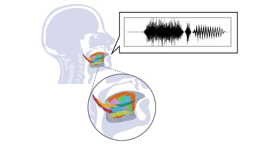 graphic of a human head detailing the tongue and with soundwaves