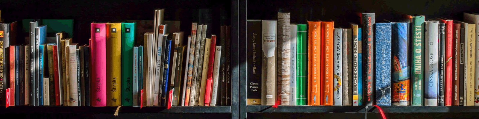 Books on library bookshelf