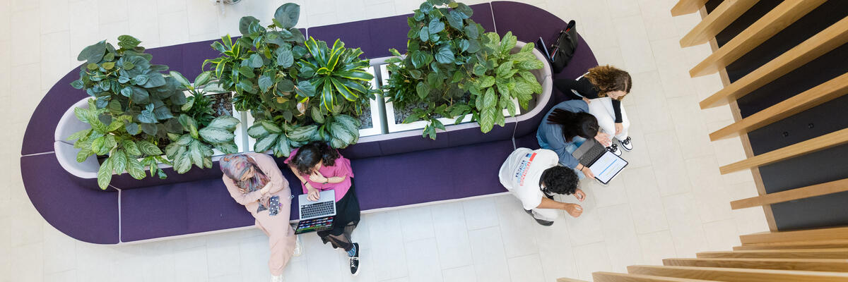 Students on seating with purple cushions and plants in the middle, photographed from overhead