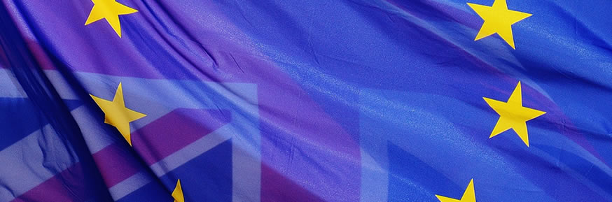 European Union flag