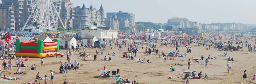 A beach in the summer