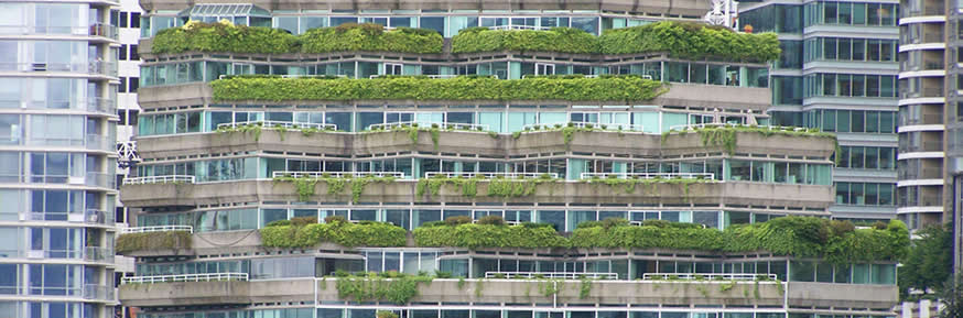 A sustainable building, covered in plants.