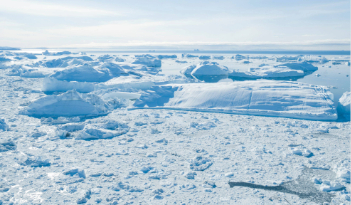 An ice sheet in the arctic. 