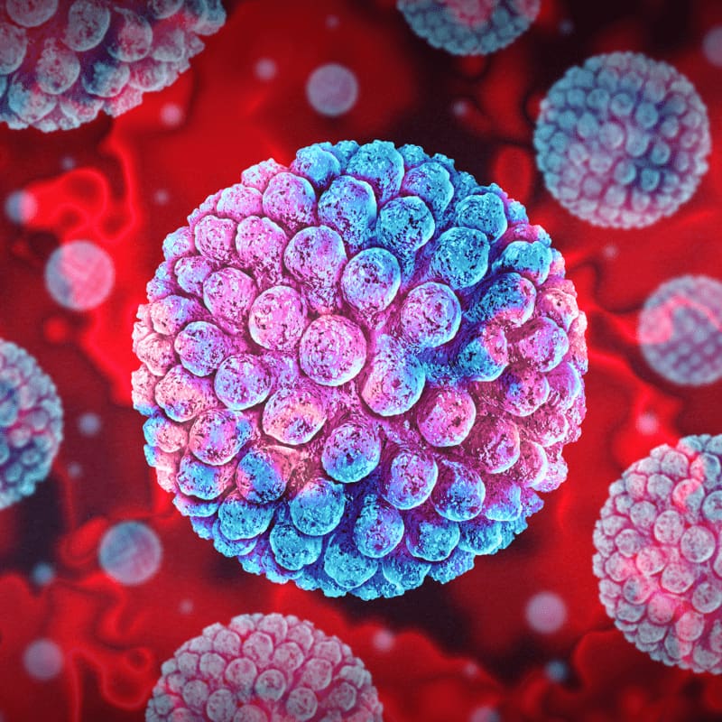 Norovirus