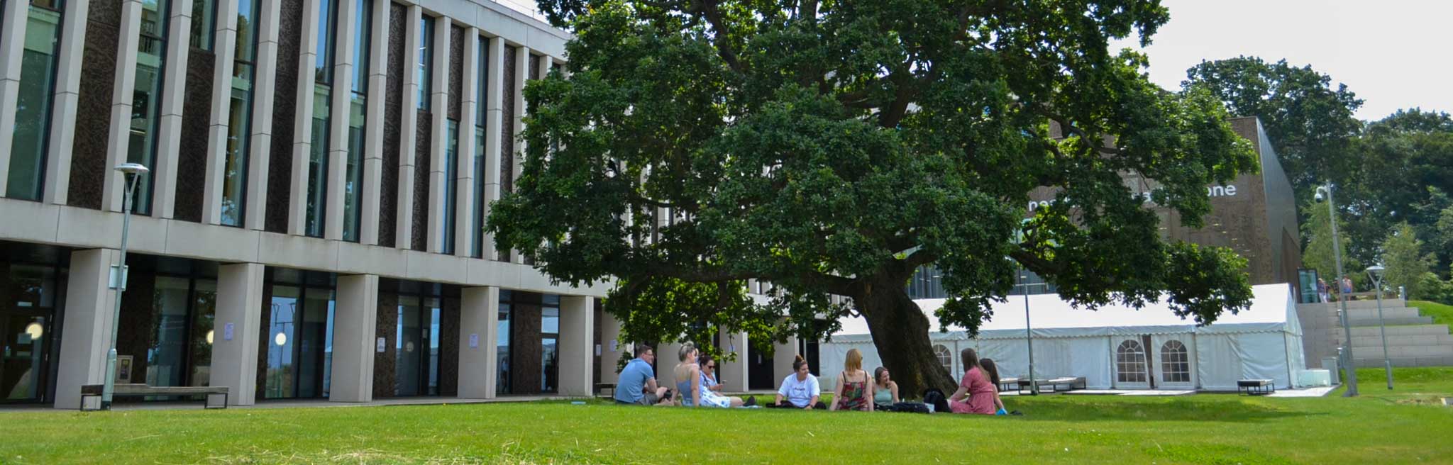 DClinPsy students sitting on the grass in front of HIO on a summer day