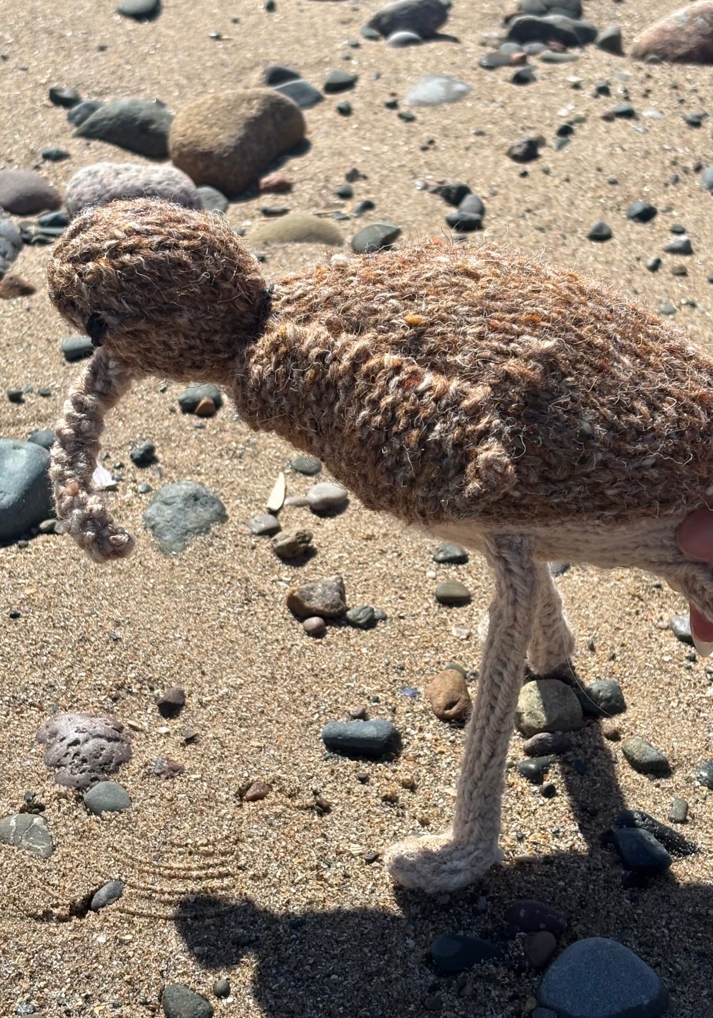 Knitted Curlew on Beach