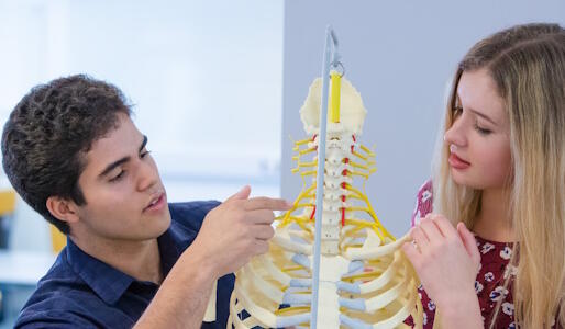 Male and female medical students examining a skeleton torso