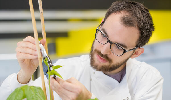 A student wearing a lab coat closely inspecting a plant