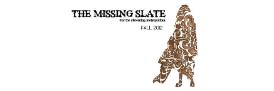 Missing Slate book cover