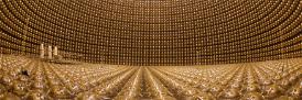 Physics neutrino