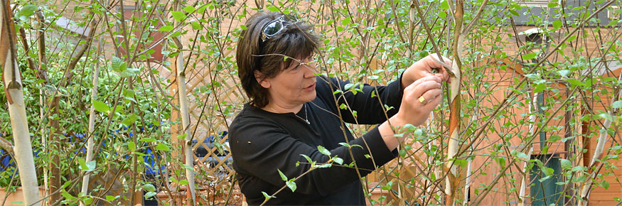 Professor Barbara Maher with trees