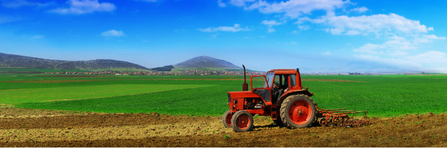 Fertilisers from renewable energy could boost food security