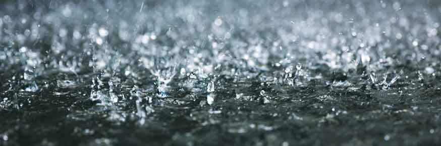 Rain
