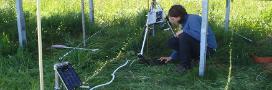 CEH researcher at a large solar farm near Swindon