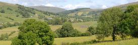 Grasslands in the Yorkshire Dales (R Bardgett)