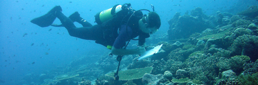 Professor Nick Graham is to receive a Philip Leverhulme Prize for his work on coral reef ecology and management