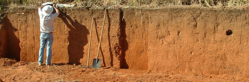 soil in business