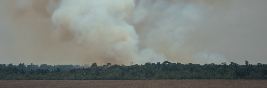 Amazonian wildfires during the 2015-16 El Nino event - credit Adam Ronan