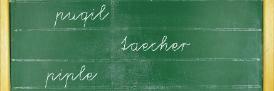 Dyslexia and foreign language learning