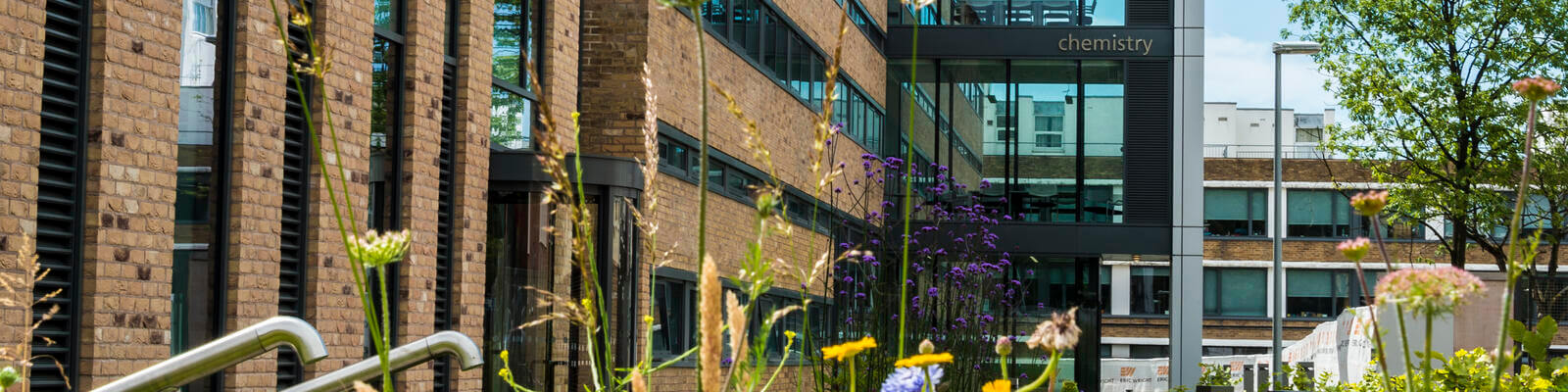 A picture of the Chemistry Building on Lancaster Bailrigg Campus and some flowers.