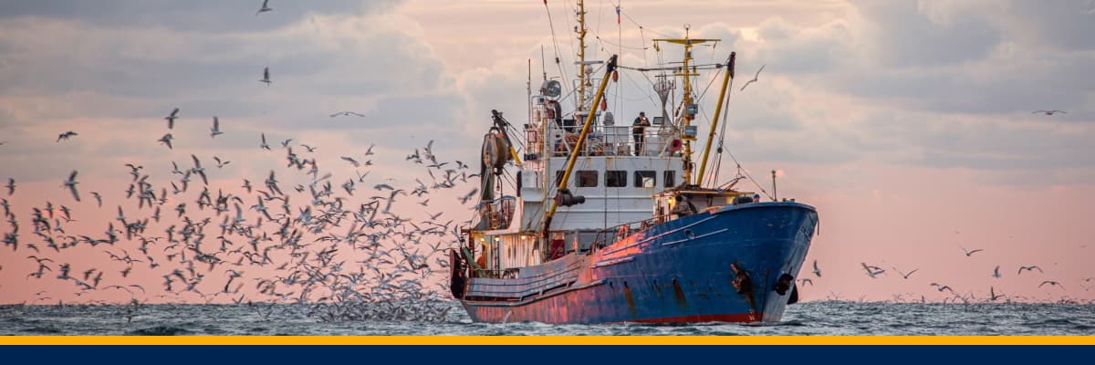 A fishing boat on the ocean at dawn, followed by a flock of seabirds