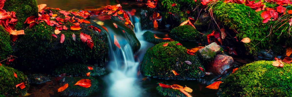 Long exposure photo of a stream, surrounded by mossy stones covered with red leaves