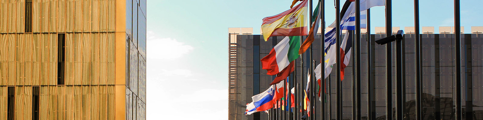 Flags at EU Parliament