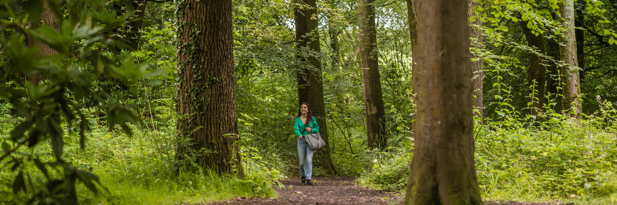 An image of researchers at one of the workshops on the Careers outside of Academia Day 