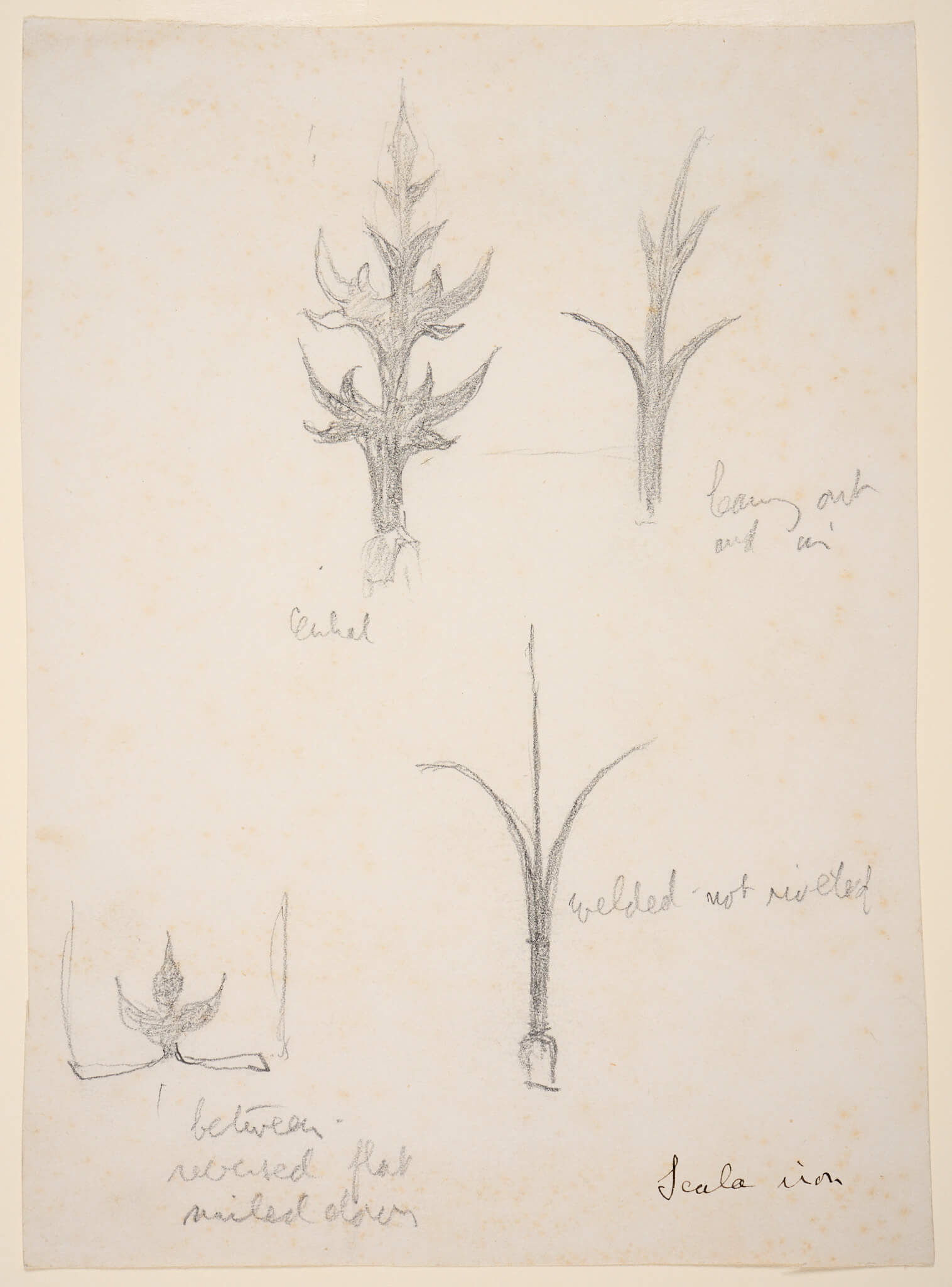 Sketches of ironwork details that look botanical.