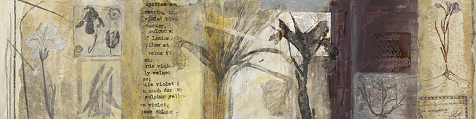 Victoria Crowe: Iridaceous sequence