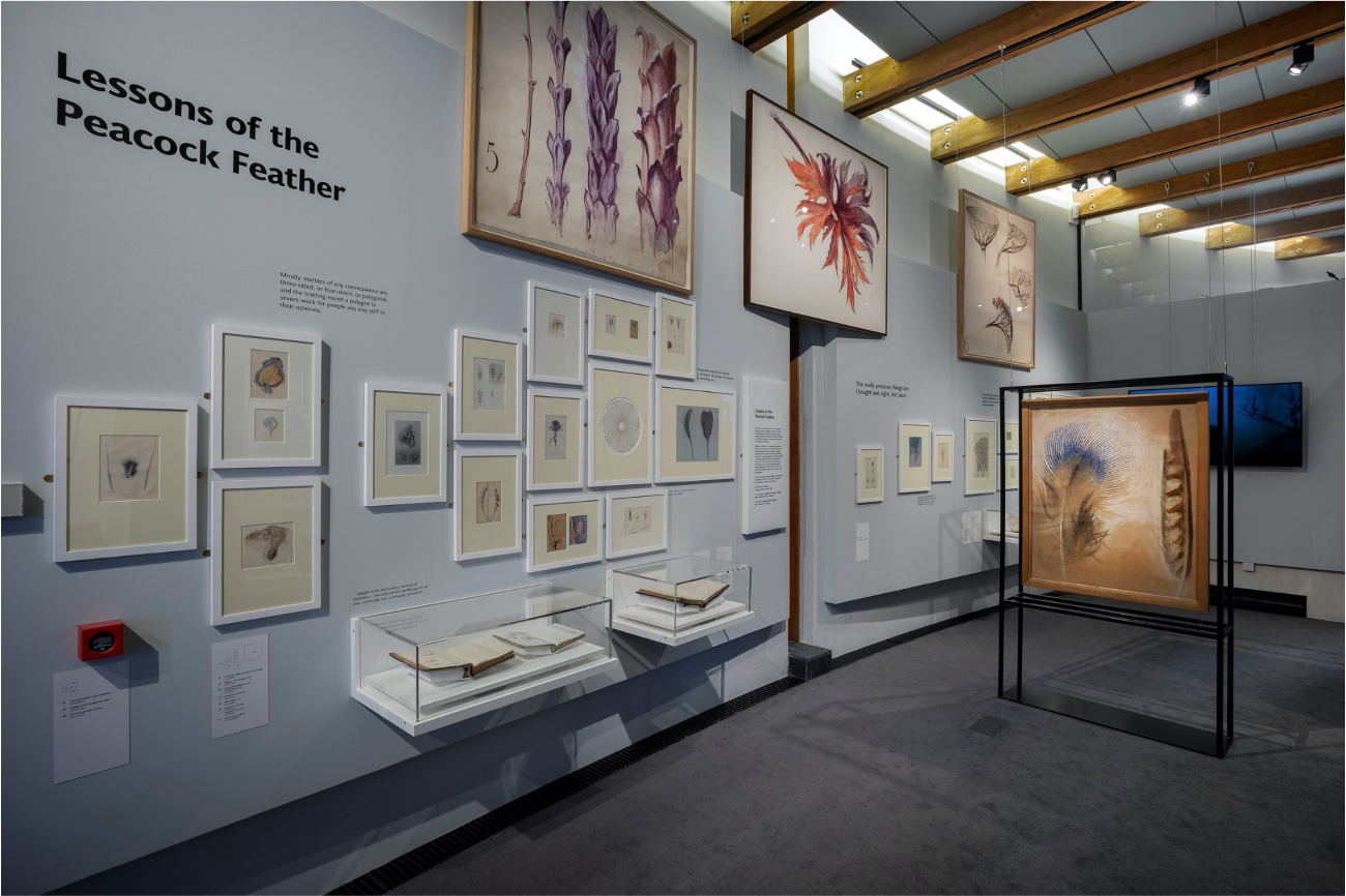 An image of John Ruskin's Lecture Diagrams.