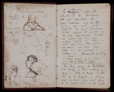 Image from Davy's notebook courtesy of the Royal Institution of Great Britain