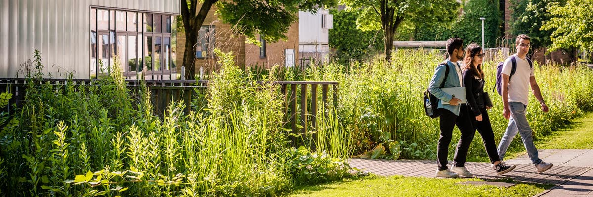 three students walking out of the lica building in the sunshine