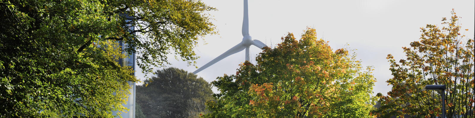Wind turbine in the background and autumn trees in the foreground