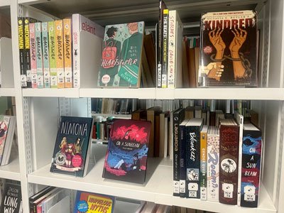 The graphic novel collection in the library