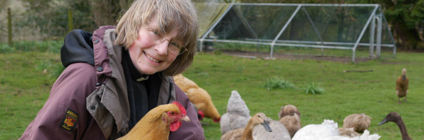 Team Rector Sarah Tends Twelve Parishes -