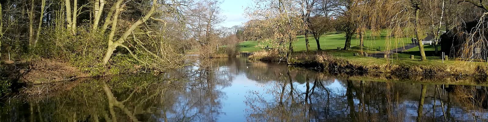 Picture of duckpond