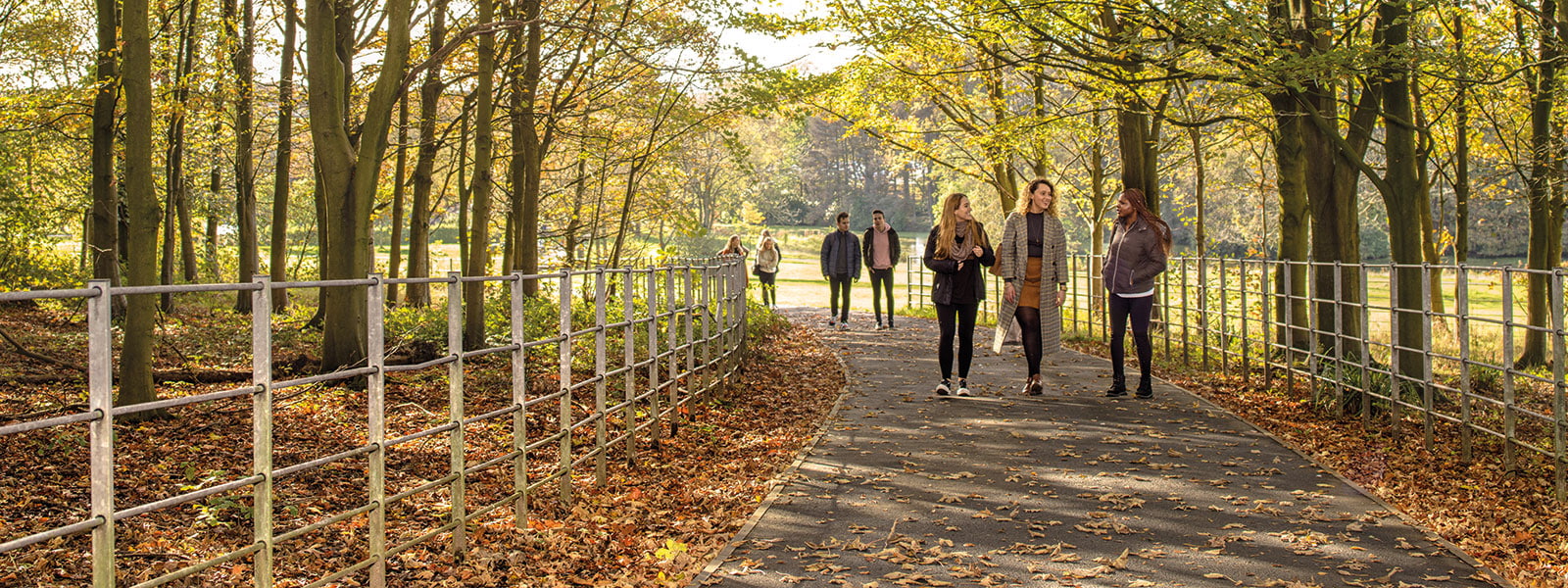 Students walking up a woodland path on a sunny day