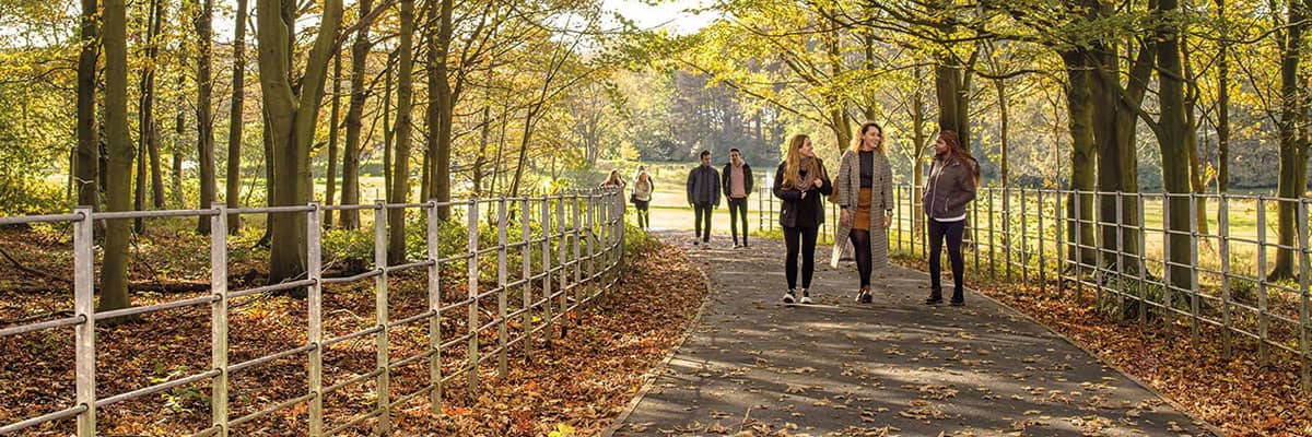 Students walking up a woodland path on a sunny day