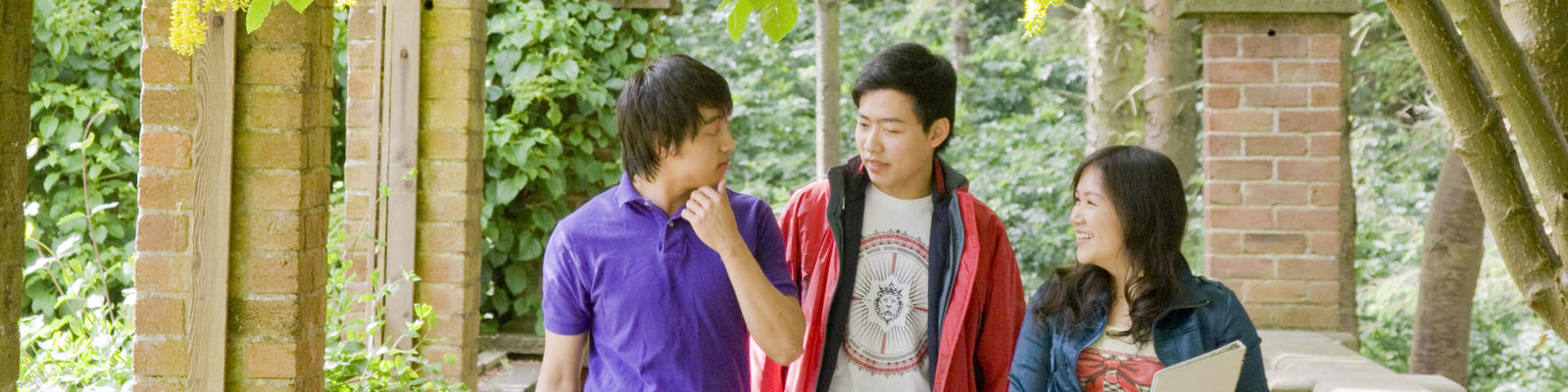 Three students in a walkway surrounded by foliage