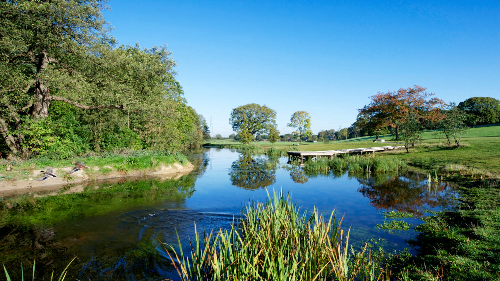 Lake Carter near the Sports Centre