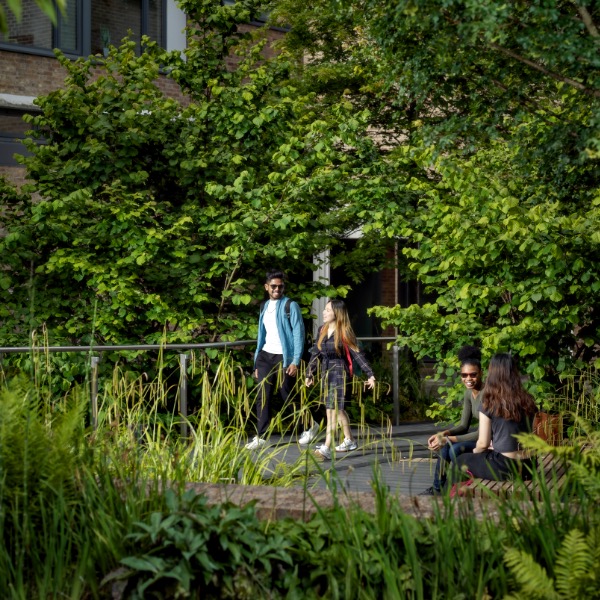 Students walking around our green campus