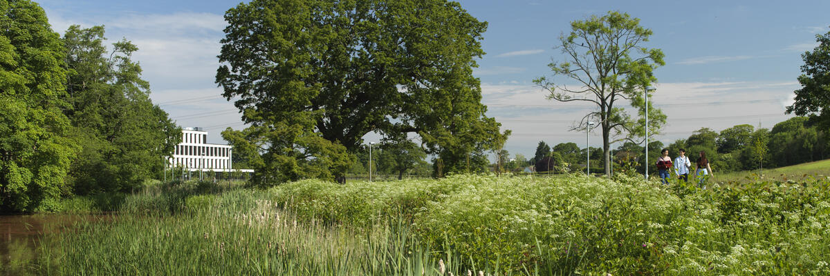 Students surrounded by greenery at Lake Carter