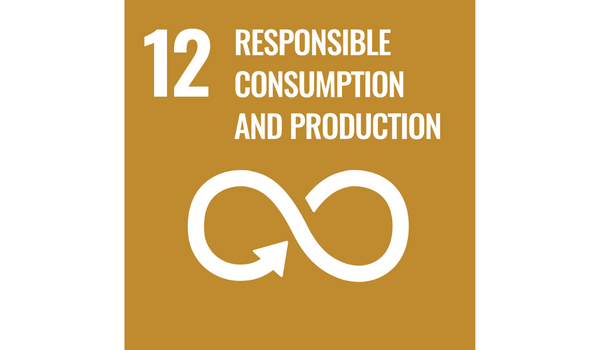 Responsible Consumption