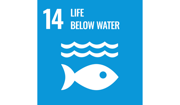 Life below water