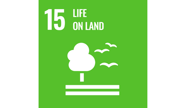 Life on land