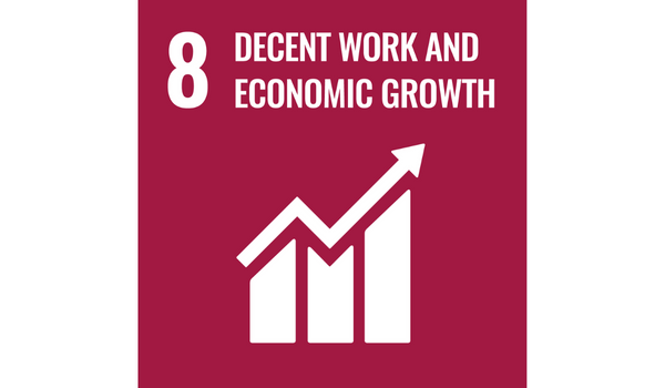 Decent Work and Economic Growth