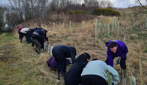 LUSU Green students planting trees