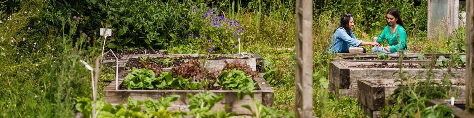 ECOHub allotments