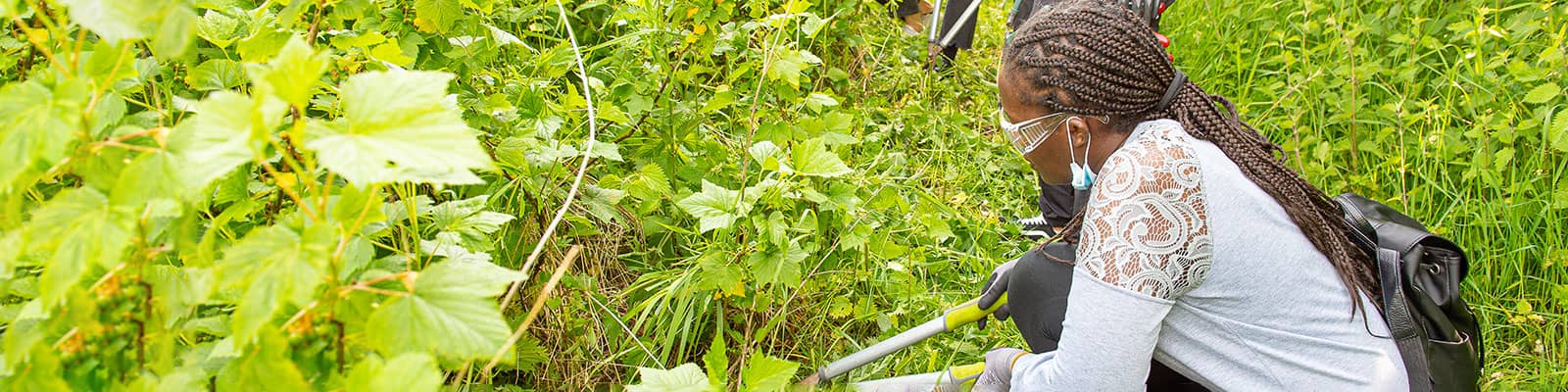 Student cutting weeds.